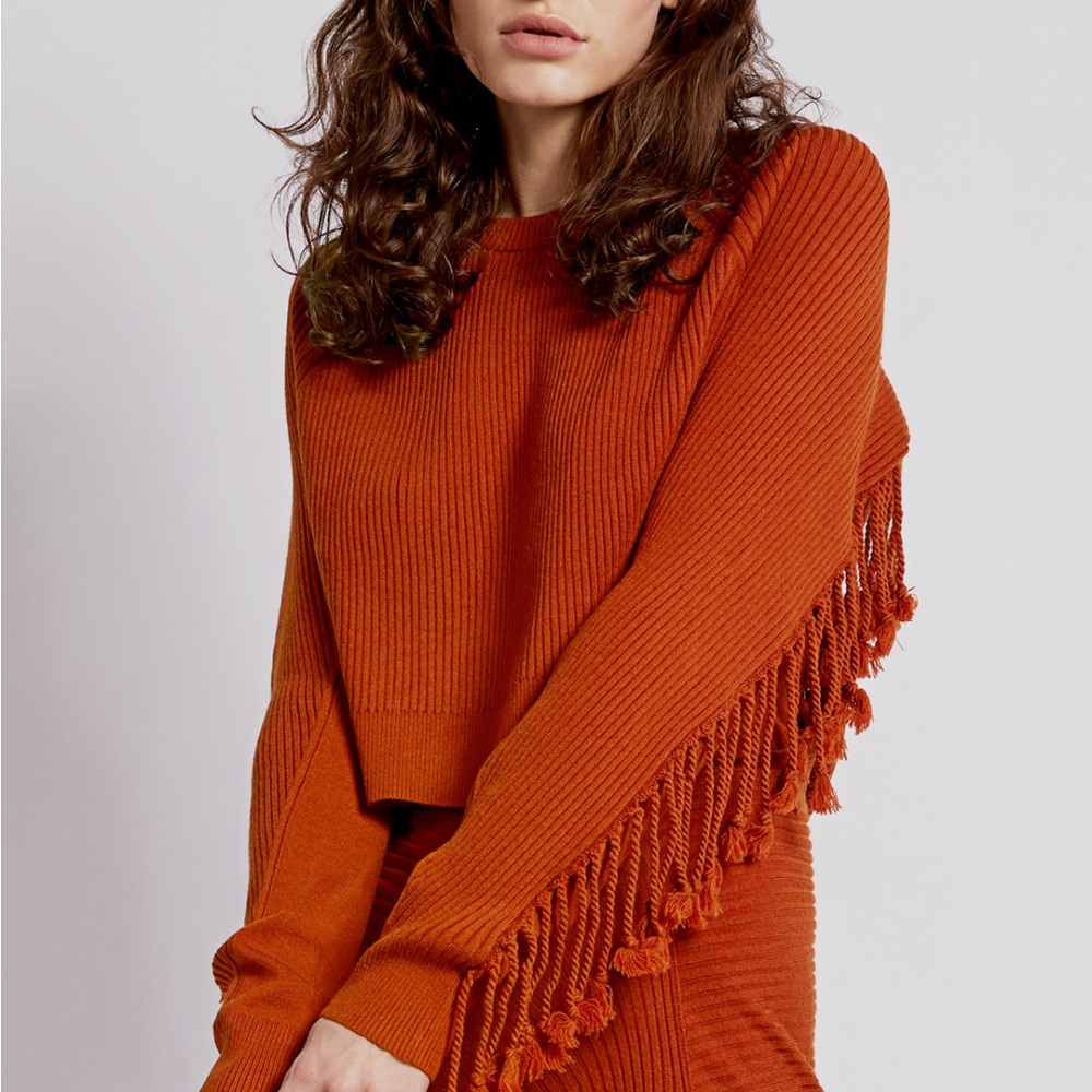 Jonathan Simkhai Hannah Fringed Cropped Sweater